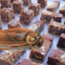 미래(노인요양복지센터) 이미지