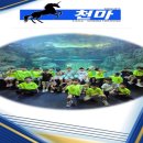 한국체대 천마 태권도장 이미지