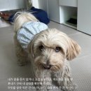 성수 네이버블로그