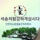 ♤돌팔이', '단감', '야산'등의 올바른 이해♧ 이미지