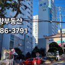 소향공인중개사사무소 이미지