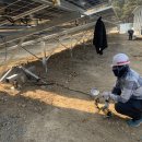 HR 태양광발전소 이미지