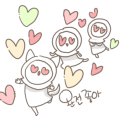 솔코스메틱