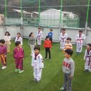 용당 타이거즈 태권도 이미지