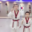 형제3태권도 네이버블로그