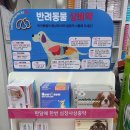 군포온누리약국 이미지