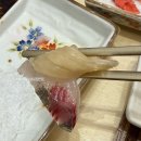 방어진참가자미 | 대구 죽전네거리 맛집 점심특선 달서구횟집 방어진참가자미 본리점 간장물회 회정식 후기