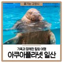 힐링아쿠아 | 가족과 함께한 힐링 여행, 아쿠아플라넷 일산 방문 후기