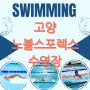 노블스포렉스수영장 이미지