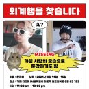 카페스윗피