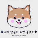 이마트24기업도시(서충주) | 충주반려용품사러왓냥