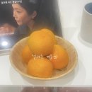 둔산중로32번길 이미지