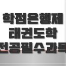 [학점은행제] 태권도시범 및 격파 이미지