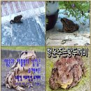 49. 後滄名詩후창명시(198~200)贈白秀才南柱증백수재남주,送諸君遊淨土山송제군유정토산,贈朴甥珍浩증박생진호/내로남불,모사드,UAE유조선 이미지