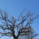 하남 천주교 명례 성지 이미지