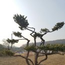 근혜농장 이미지