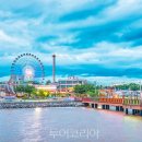 성지연꽃길 투어코리아