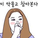 카페유로패스 이미지