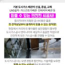 알파수출포장