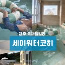 세이워터코히 이미지