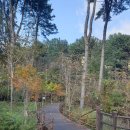 잣향기푸른숲 축령백림관 | 경기도 가평 잣향기푸른숲