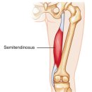 서호동-48 이미지