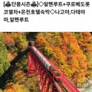 10월15일(화)~18일(금)일본 알팬루트 단풍여행을 예비신청을 받아 보고자 합니다. 이미지