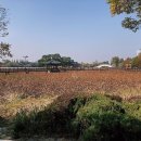 덕진공원 삼층석탑 | 전주 가볼만한 곳 추천 :: 전주 덕진공원에 다녀오다 :: 일상 생각