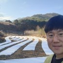 성곤농장 네이버블로그