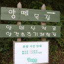 재민목장 이미지