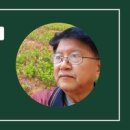 봉황꽃벵이 이미지