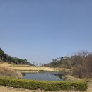 캡틴하우스 | 캡틴투투 강추! 김해 상록CC, 클럽하우스부터 마지막 퍼팅까지 꽉 채운 리얼 리뷰 🔥