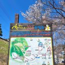 며느리 친정집 화전 이미지