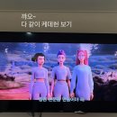 지풍화 | You're my soda pop My little soda pop (대학동문 부산 여행 go)