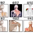 와이투짐 원흥역점 이미지