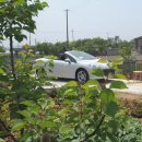 금호농장 이미지