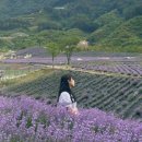 종천카인테리어 이미지