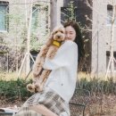 티파니 이미지
