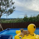 새봄펜션 이미지