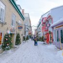 QC GLASS | 캐나다 퀘백 맛집 겨울 혼자여행 추천 음식점