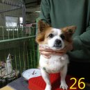 용정공원로 이미지