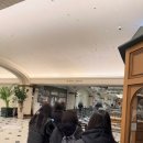 강남(205) 이미지