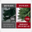 루시아이 조이 크리스마스 미니트리 풀세트 솔직 후기