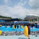 회산백련지 이미지