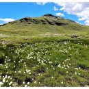 이렇게 좋은날 이미지