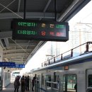 촌애란 Daum카페
