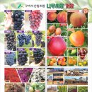 선상서로-6 이미지