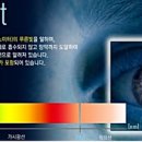 더봄 안경 네이버블로그