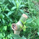 굿모닝LPG충전소 이미지