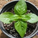 나눔허브 이미지